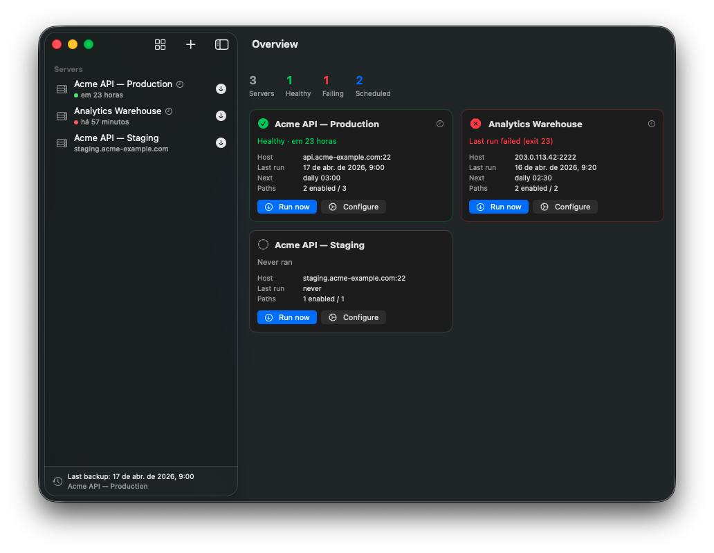 Dashboard with a list of servers, last-run status, and schedules