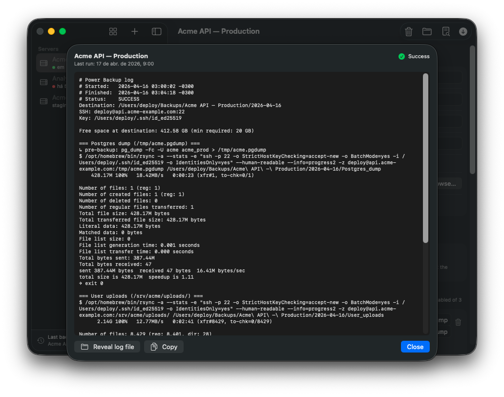 Backup run view showing live progress and log output